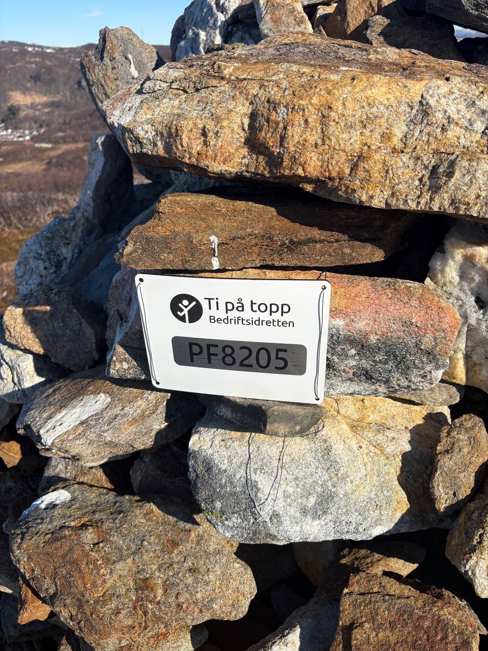 Summit cairn na Pollfjellet - Ti på topp