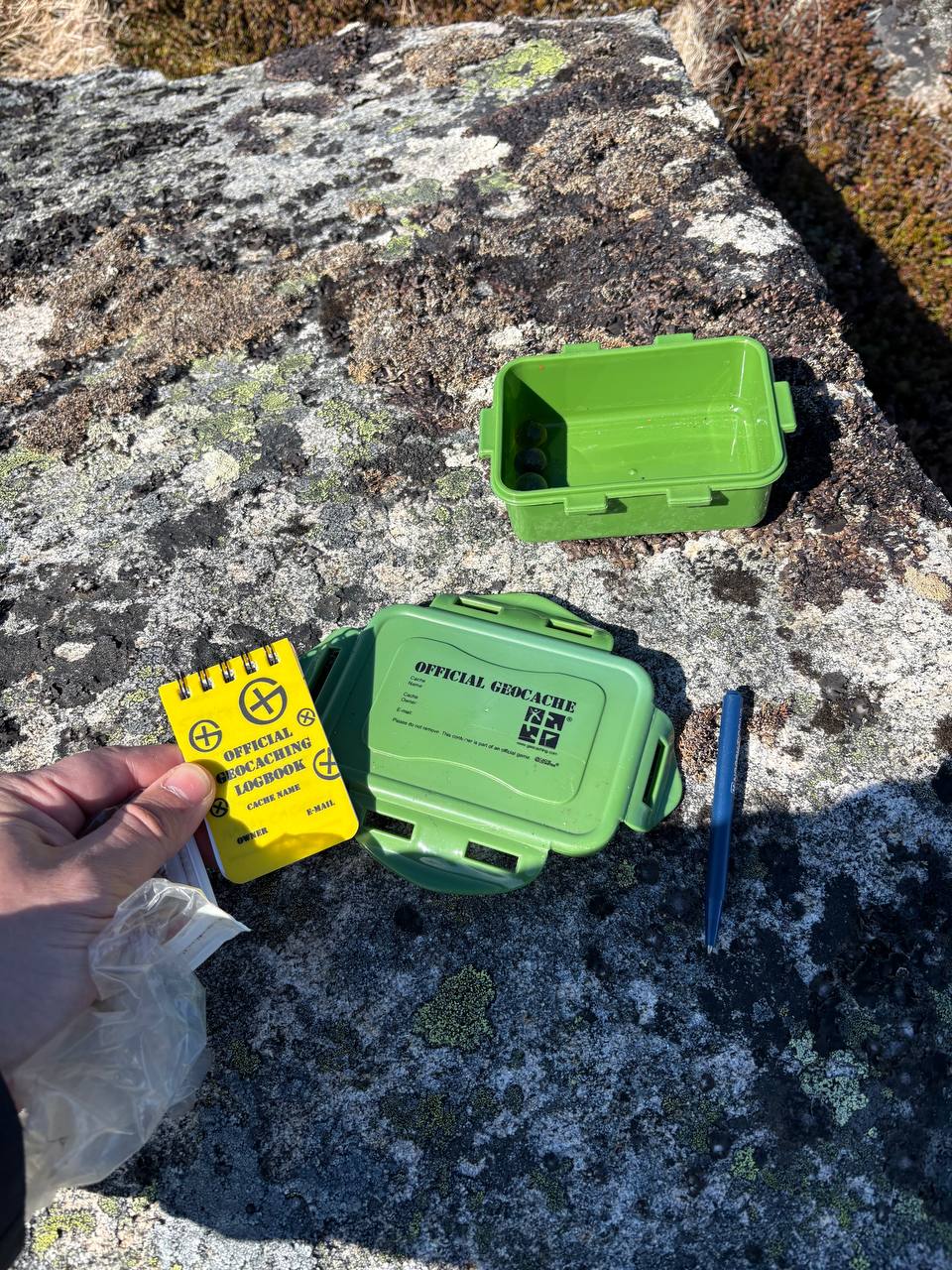 Žlutý Official Geocache štítek a zelené krabičky na lišejníkem pokrytém kameni