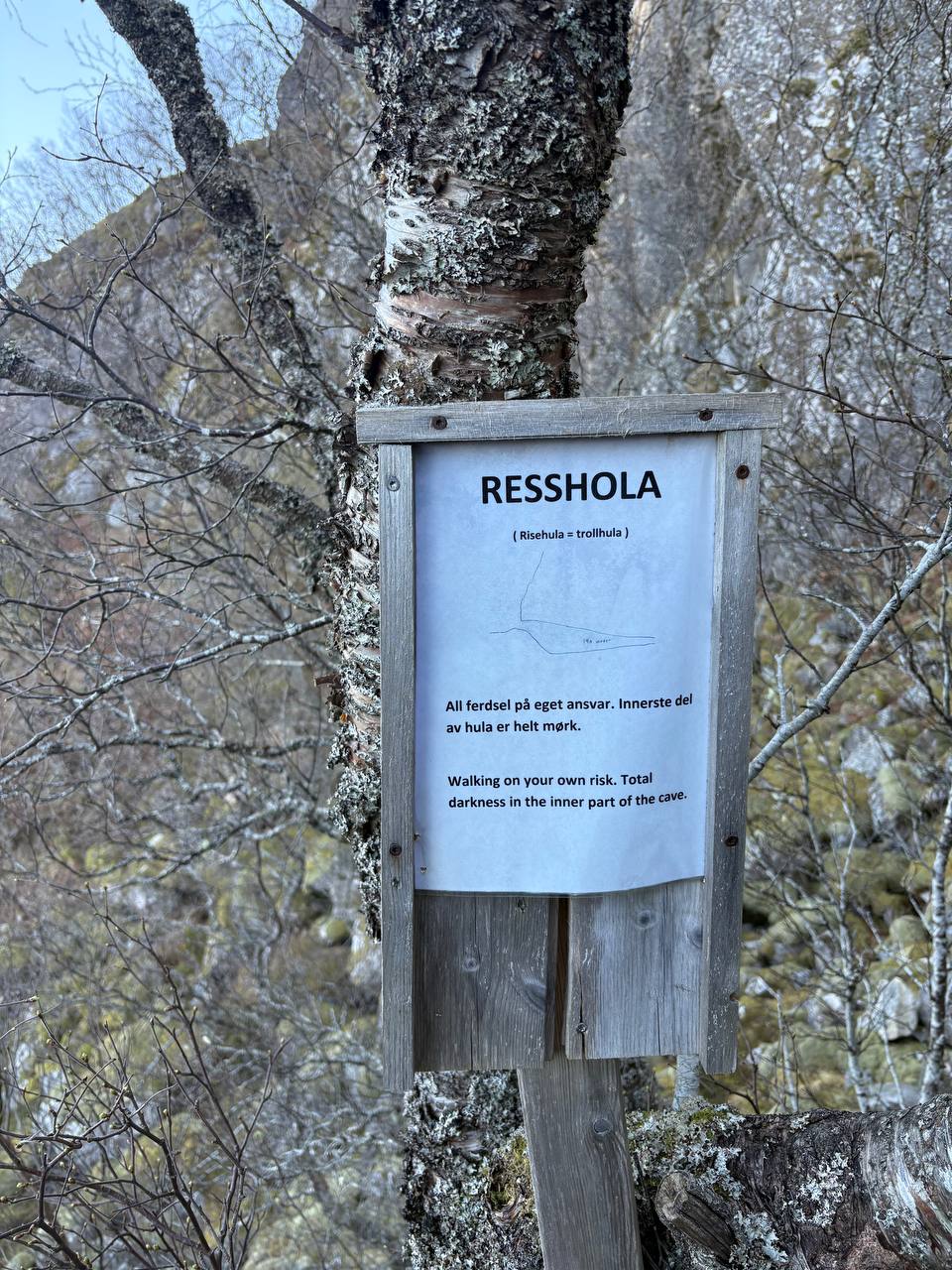 Dřevěná cedule Resshola na březovém kmeni v jarním lese