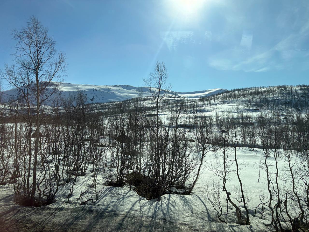Krajina z okna autobusu, norské vnitrozemí